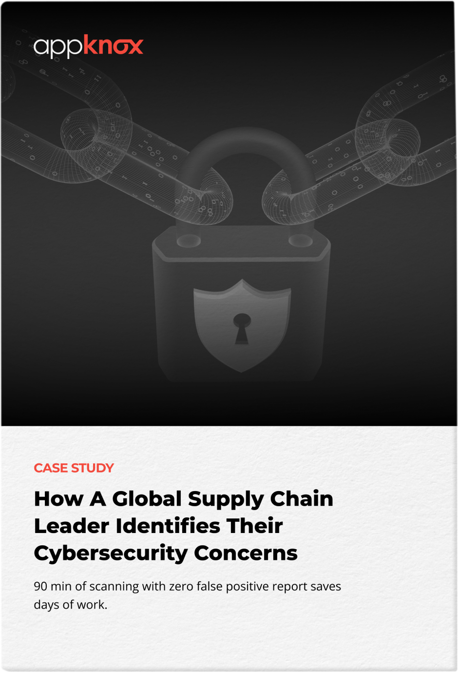 Case Study Cybersecurity Concerns of a Fortune 500 Supply Chain Leader
